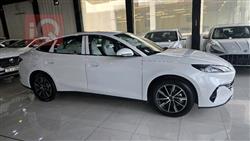 بي واي دي سيل 06 DM-i